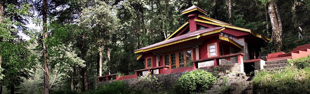Large cottage set into the wooded hillside